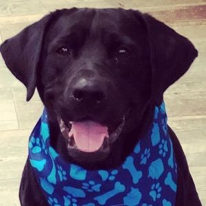 Meet your Posher, Travis